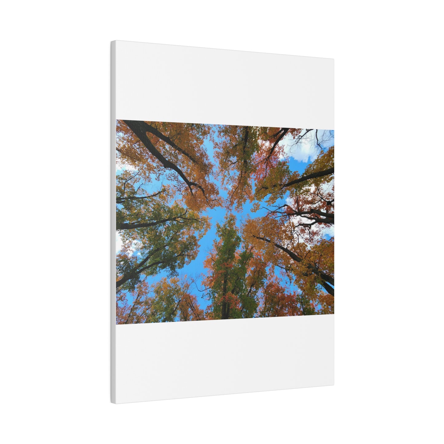 Matte Canvas, Stretched, 0.75"