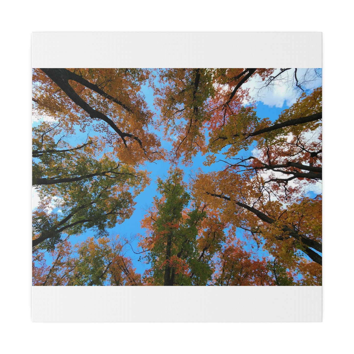 Matte Canvas, Stretched, 0.75"