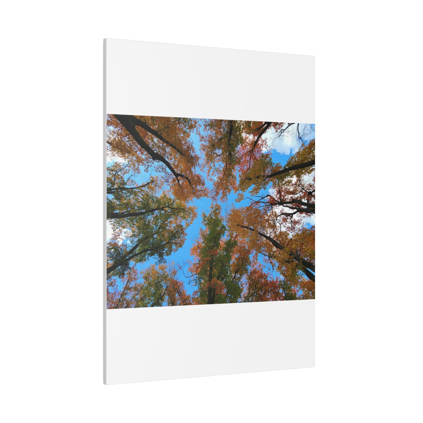 Matte Canvas, Stretched, 0.75"