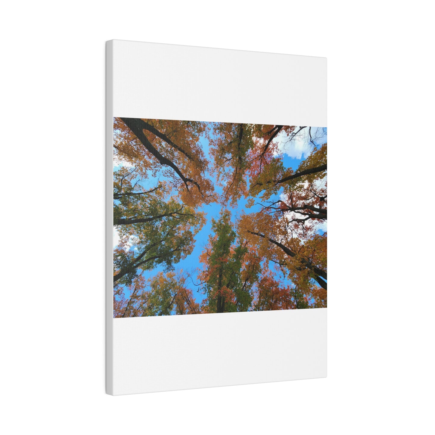 Matte Canvas, Stretched, 0.75"