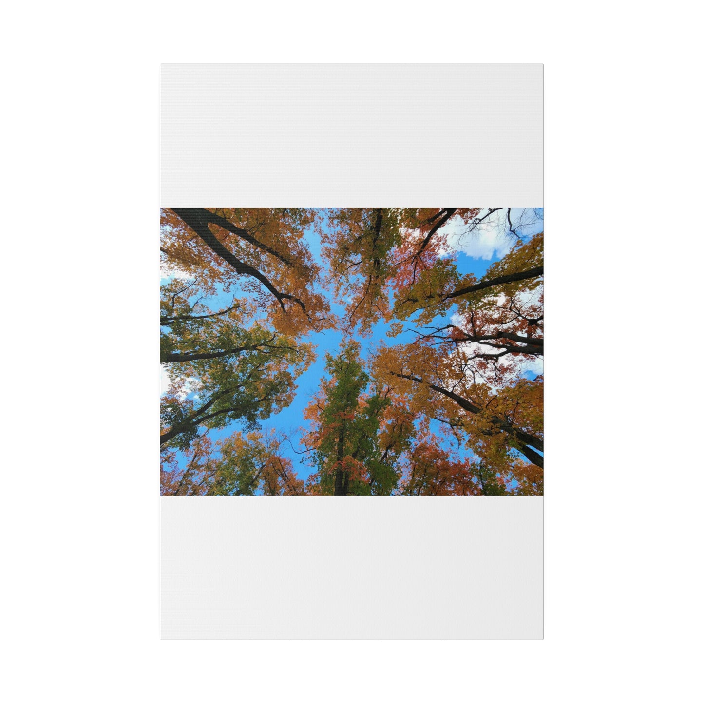 Matte Canvas, Stretched, 0.75"