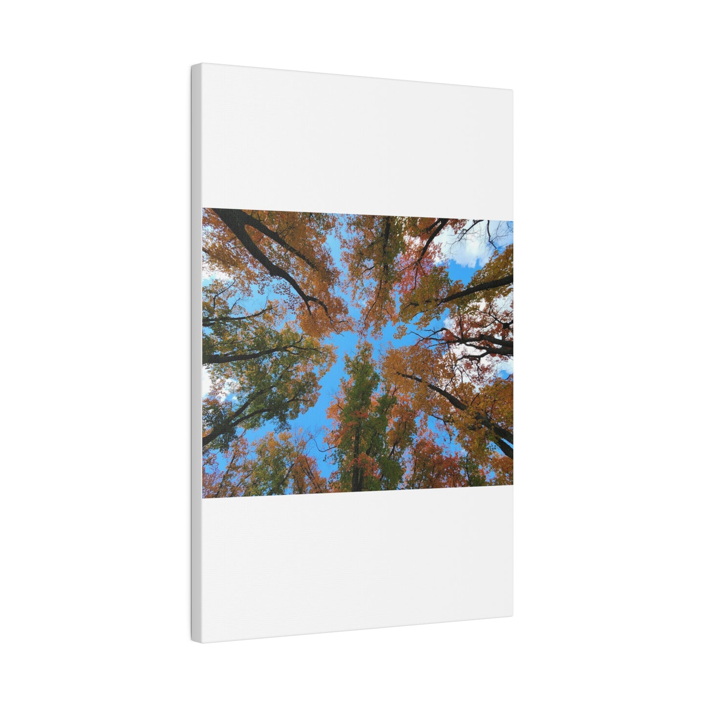 Matte Canvas, Stretched, 0.75"