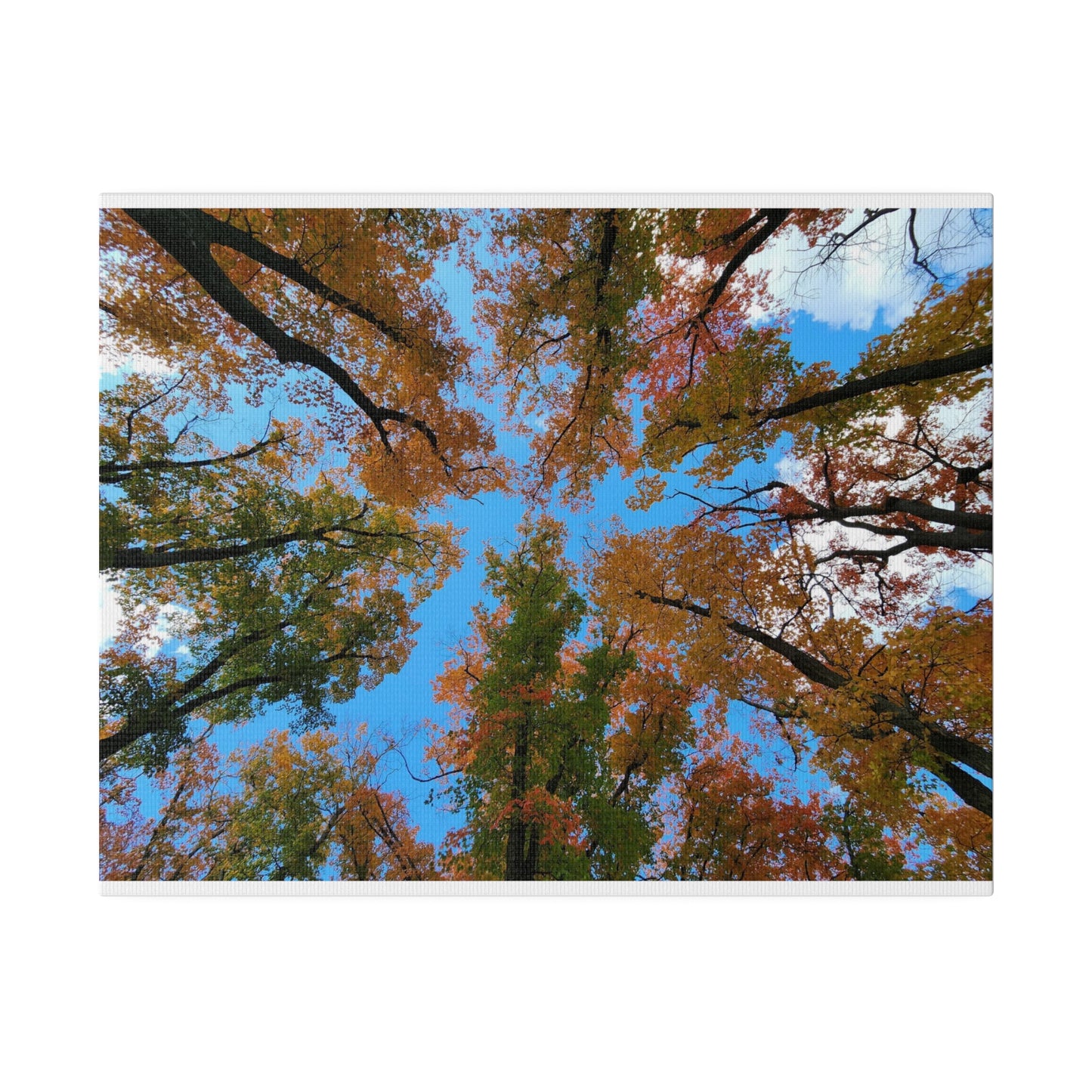 Matte Canvas, Stretched, 0.75"