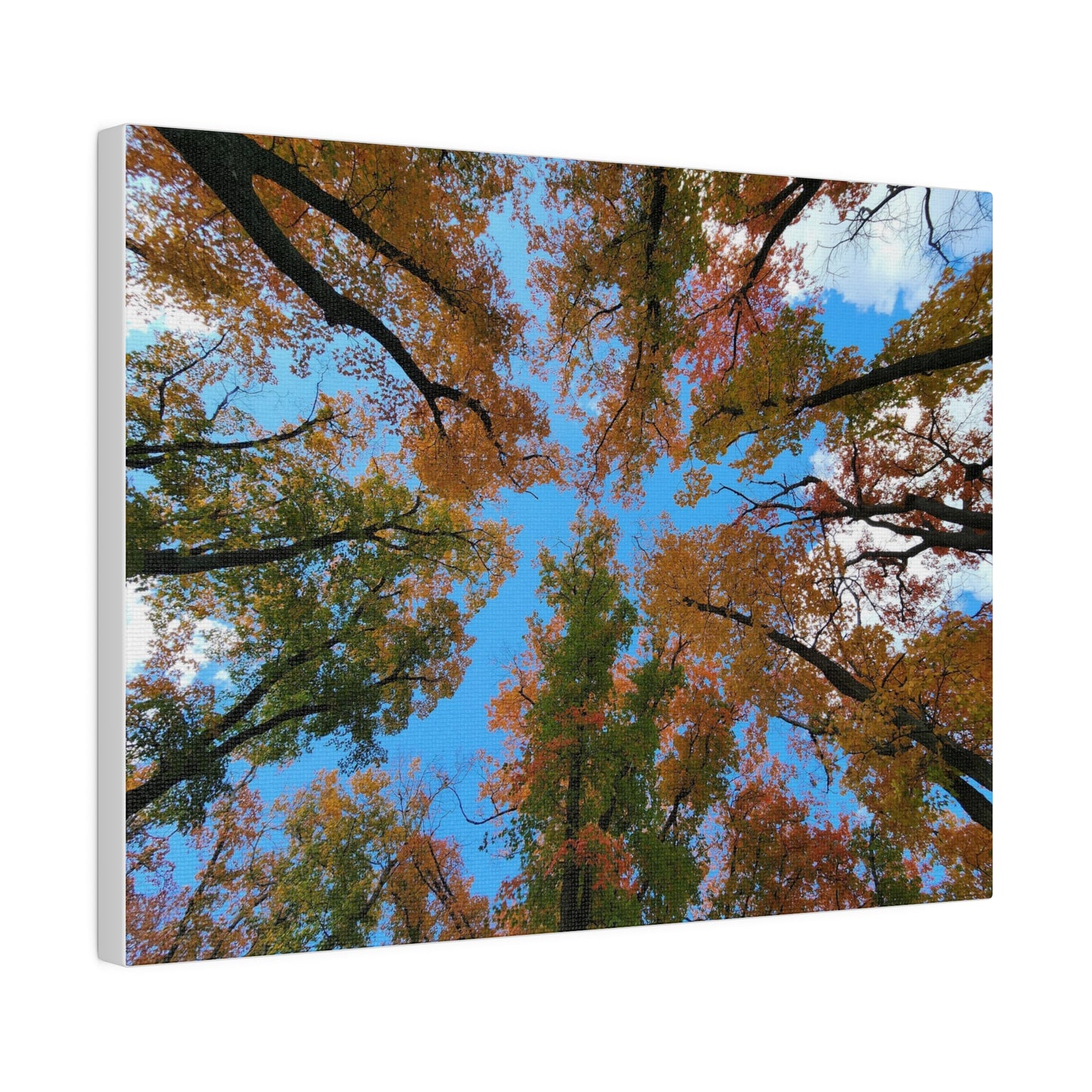 Matte Canvas, Stretched, 0.75"