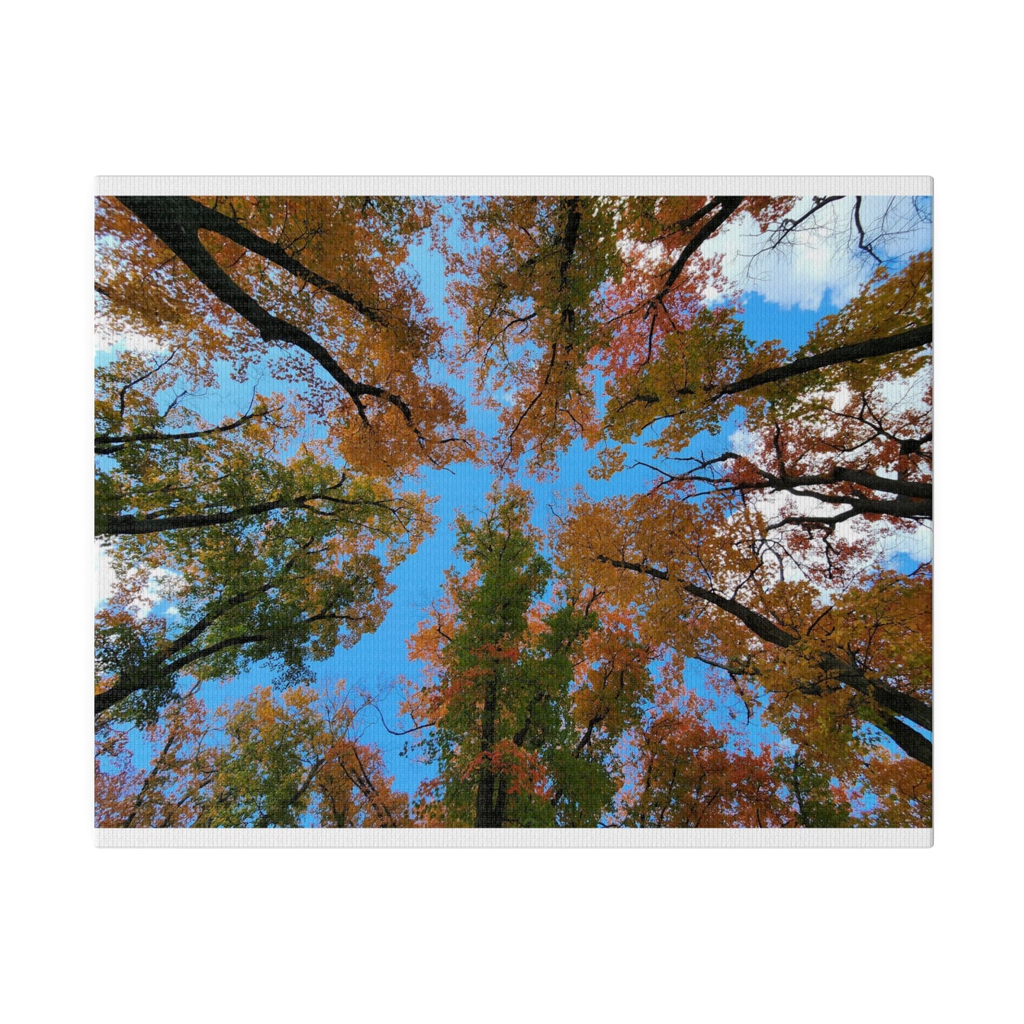 Matte Canvas, Stretched, 0.75"