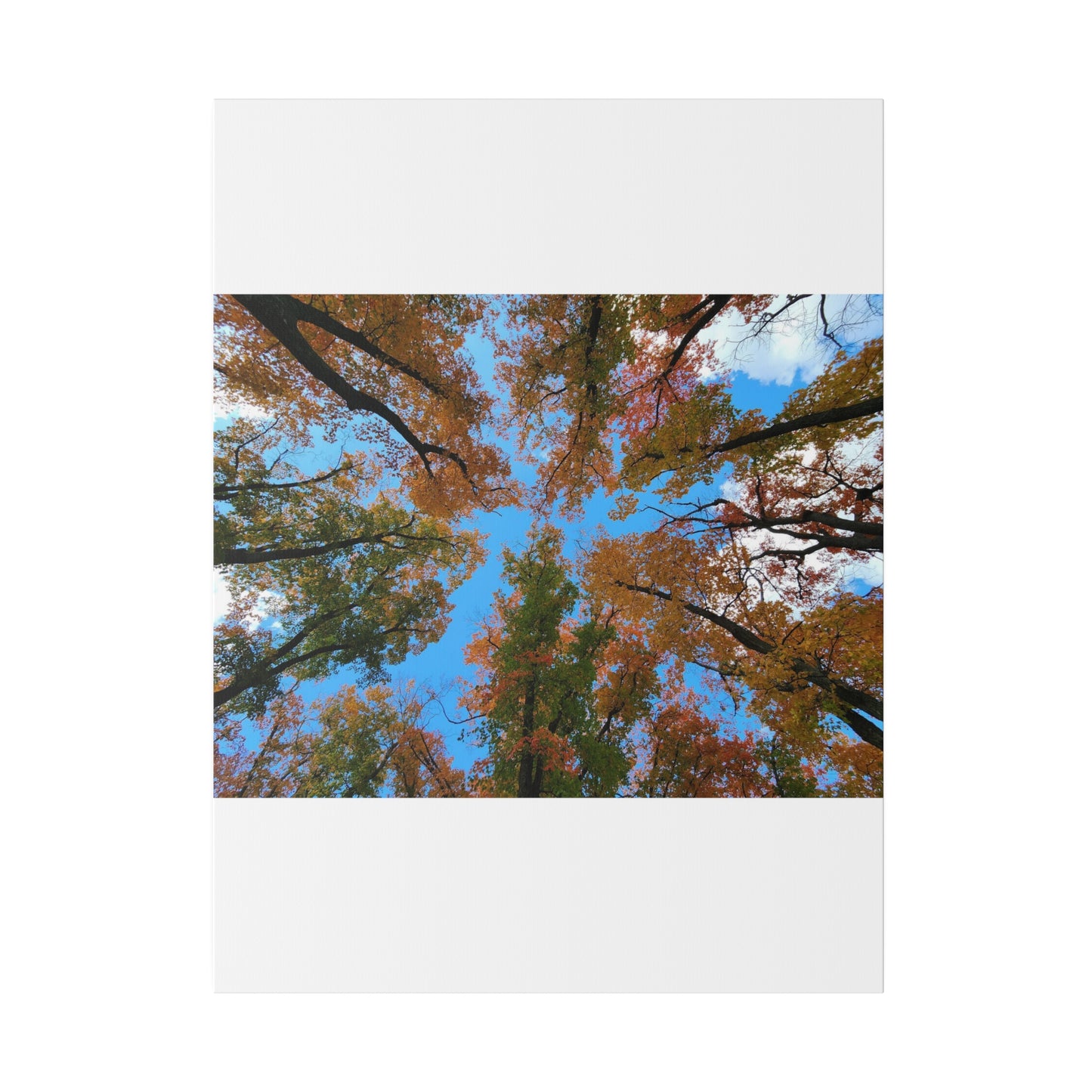 Matte Canvas, Stretched, 0.75"