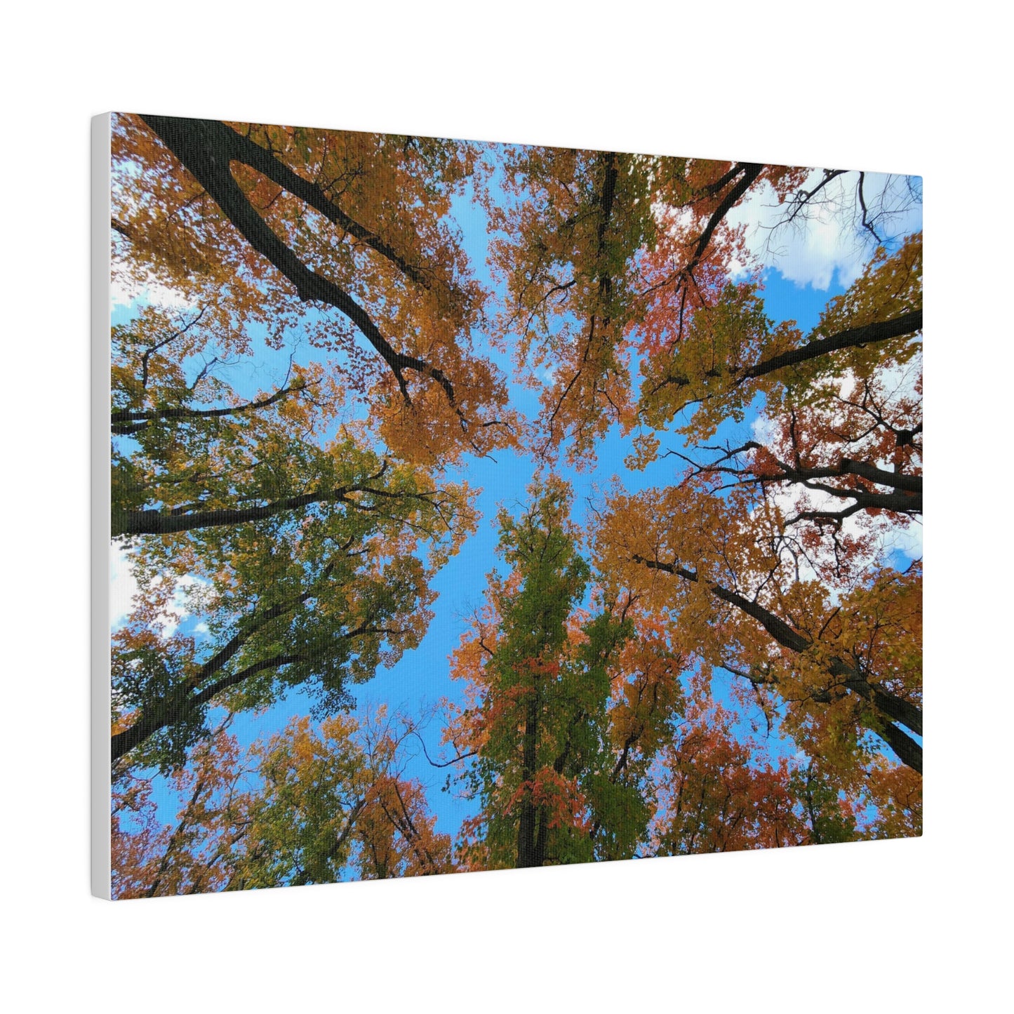 Matte Canvas, Stretched, 0.75"