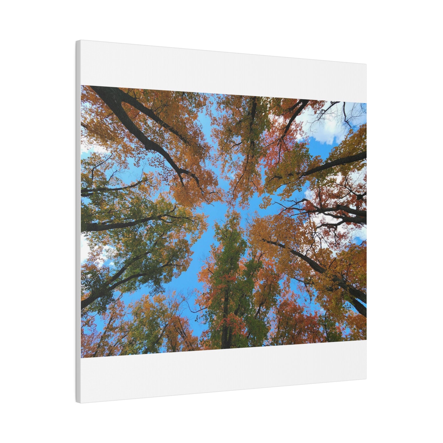 Matte Canvas, Stretched, 0.75"