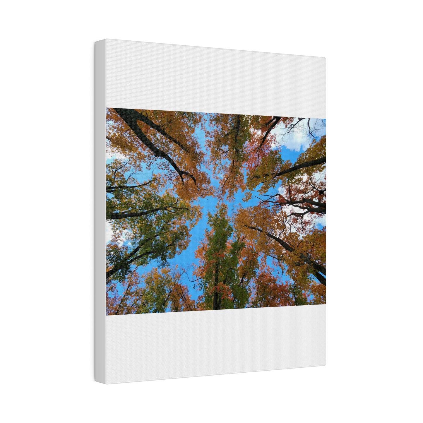 Matte Canvas, Stretched, 0.75"