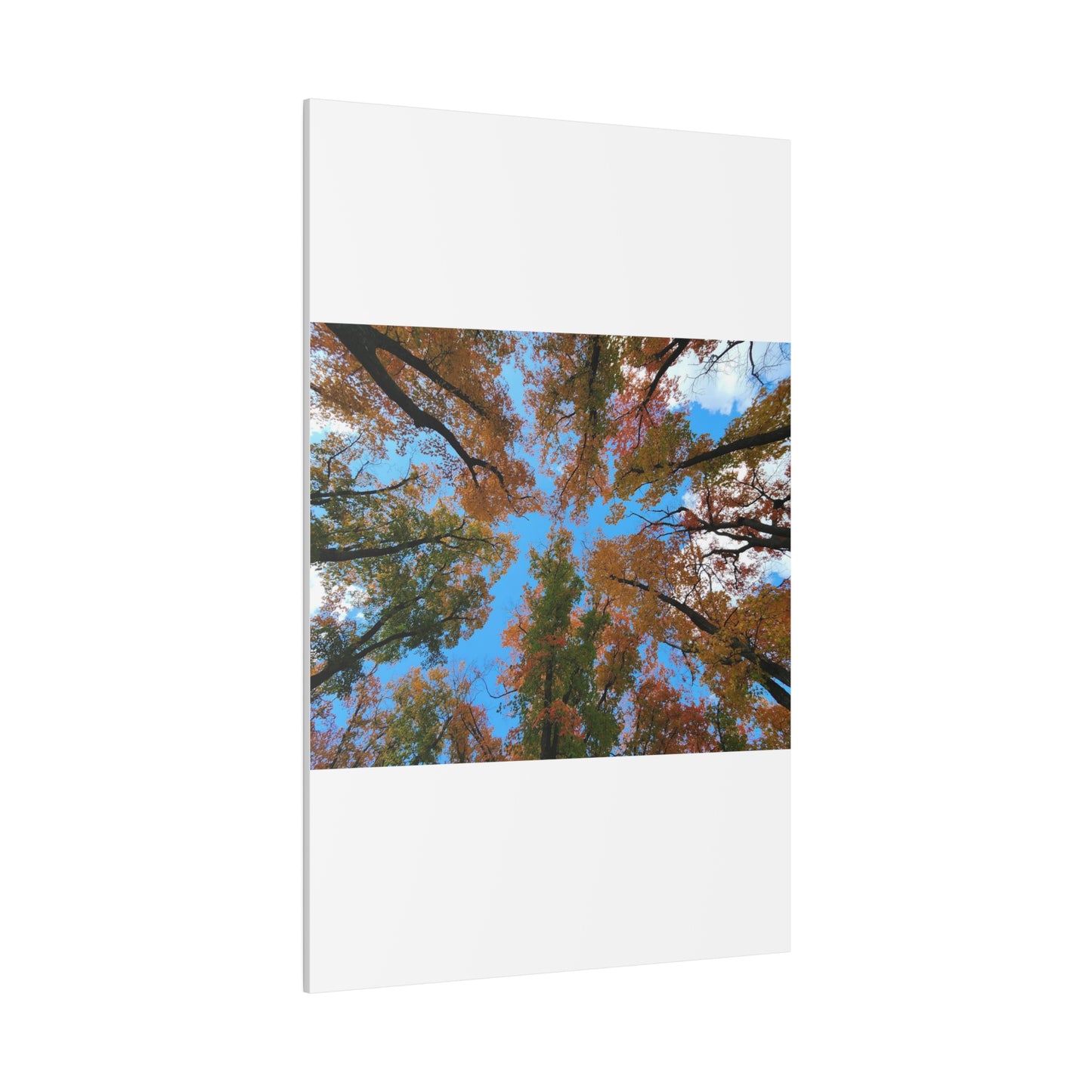 Matte Canvas, Stretched, 0.75"