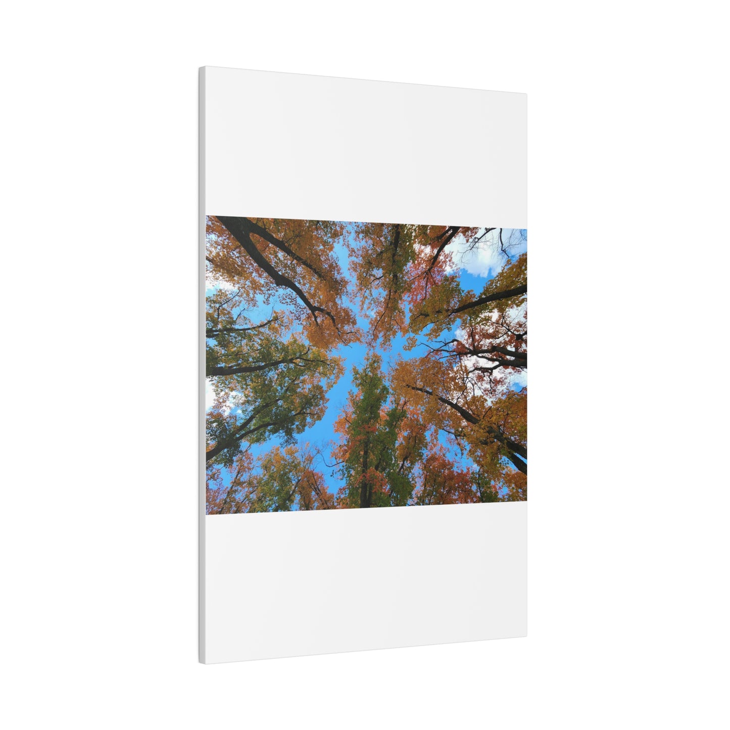 Matte Canvas, Stretched, 0.75"