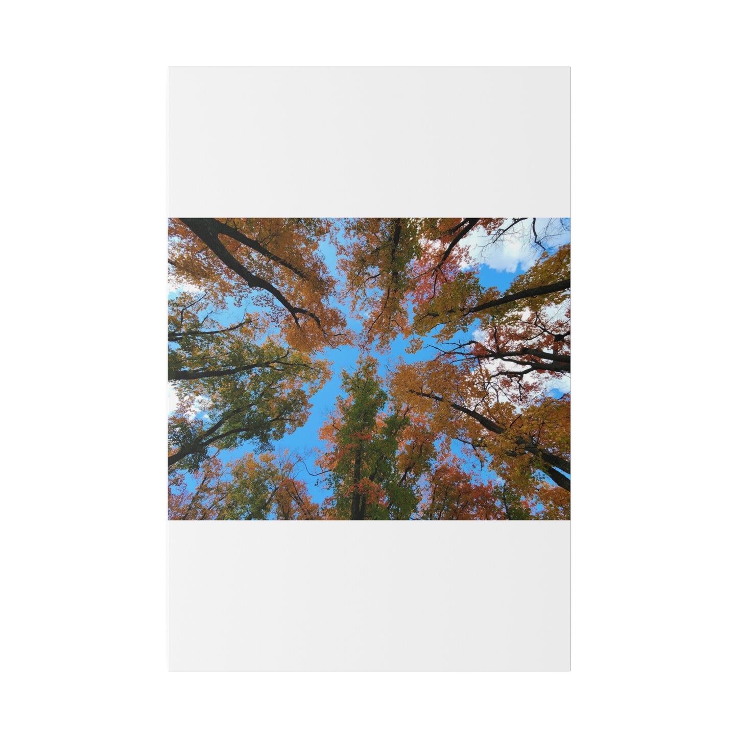 Matte Canvas, Stretched, 0.75"