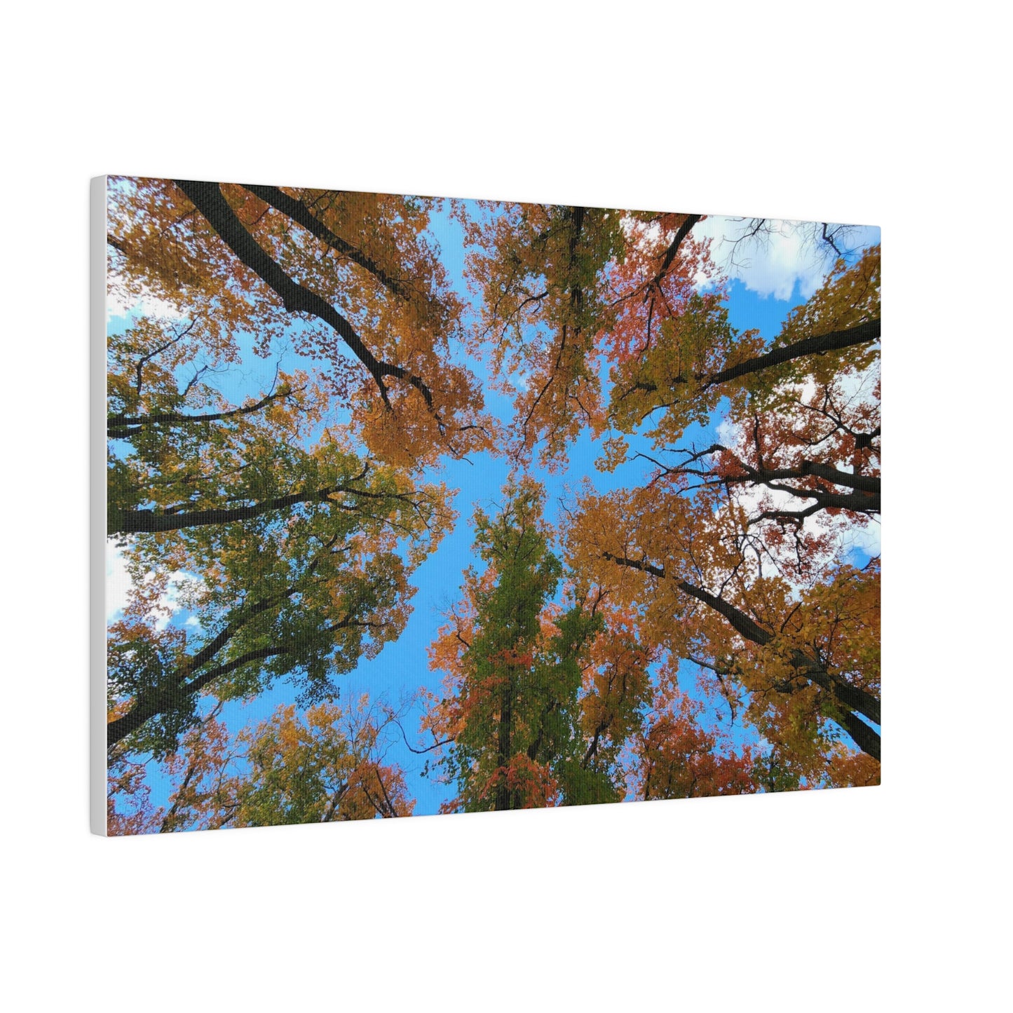 Matte Canvas, Stretched, 0.75"