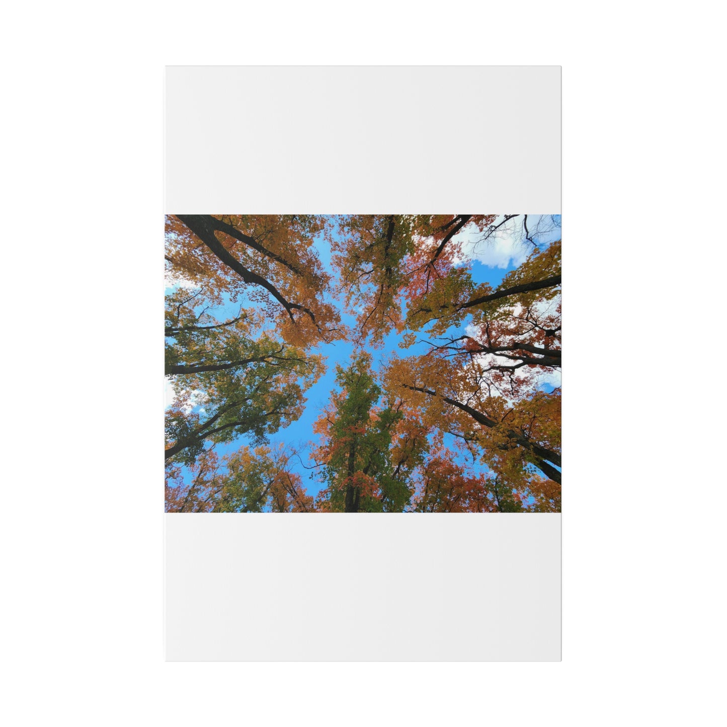 Matte Canvas, Stretched, 0.75"