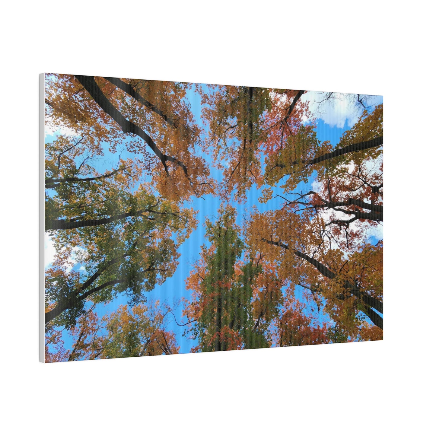 Matte Canvas, Stretched, 0.75"