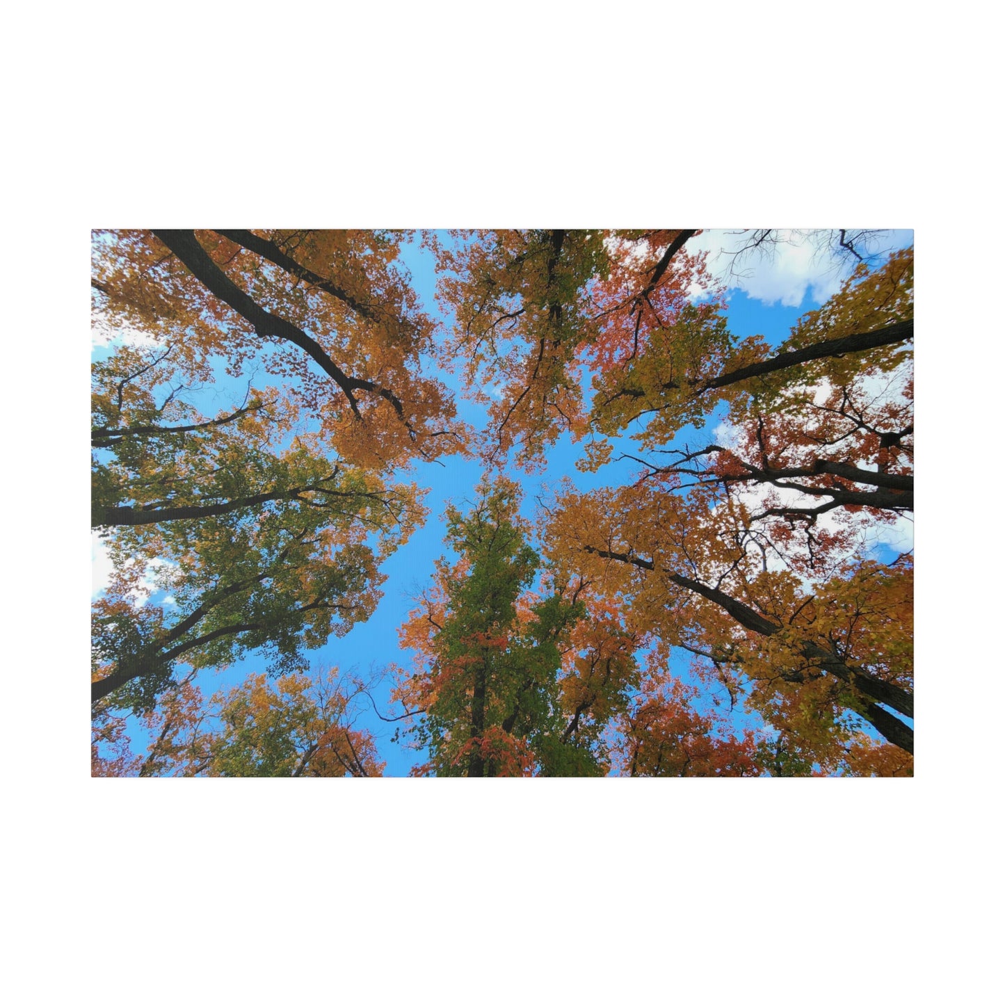 Matte Canvas, Stretched, 0.75"