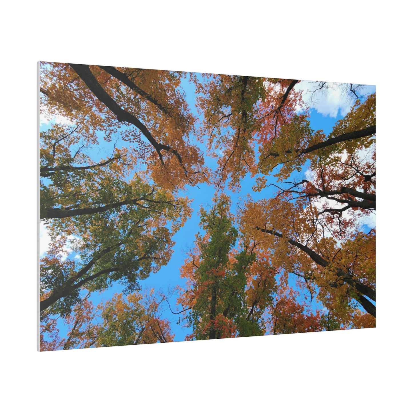 Matte Canvas, Stretched, 0.75"