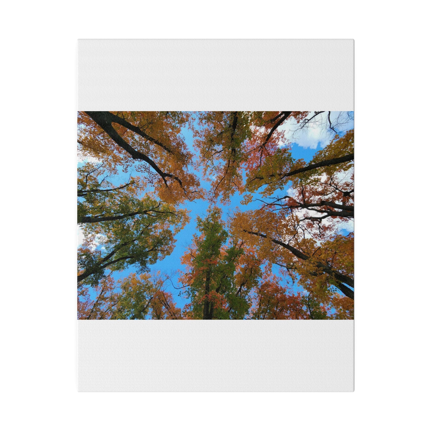 Matte Canvas, Stretched, 0.75"