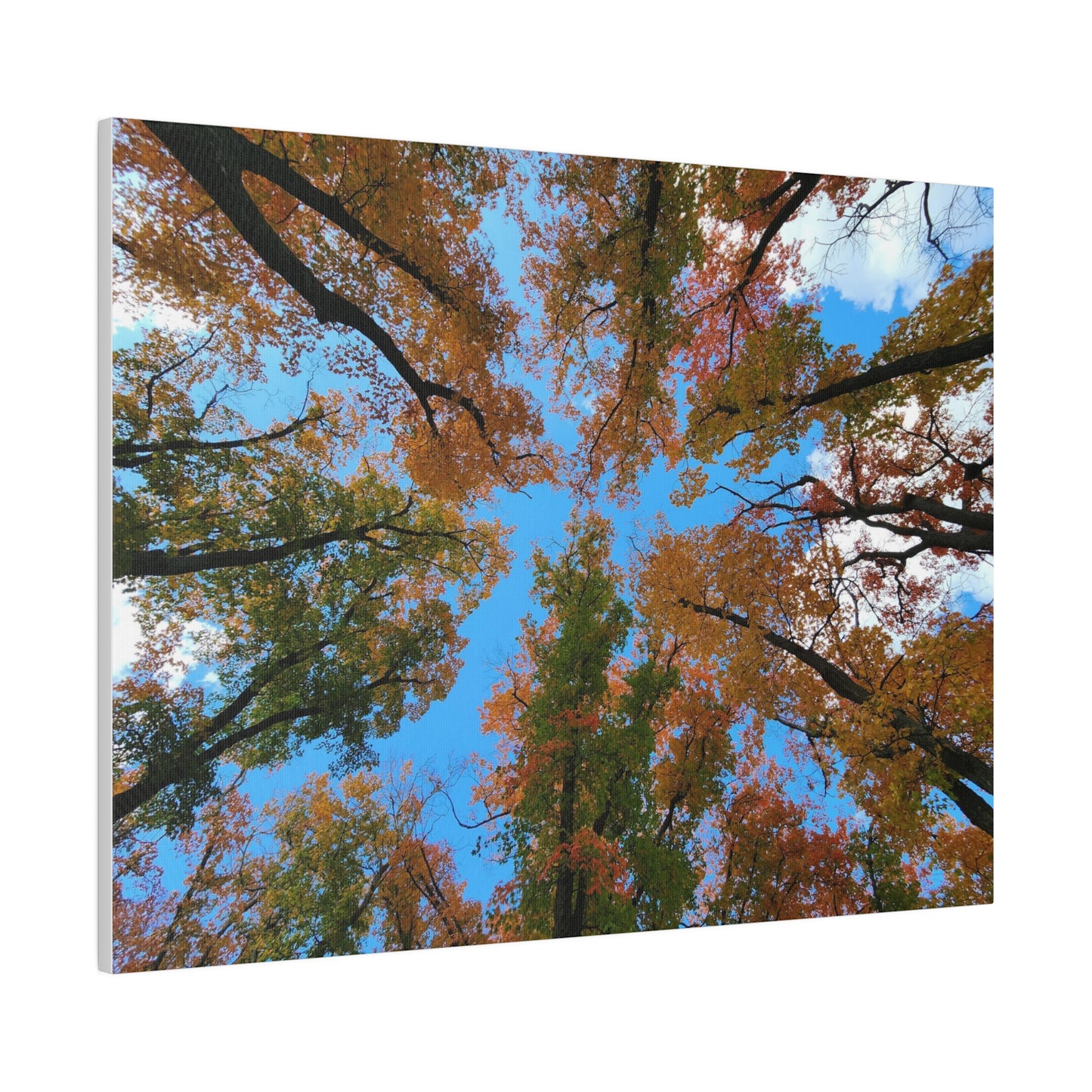 Matte Canvas, Stretched, 0.75"