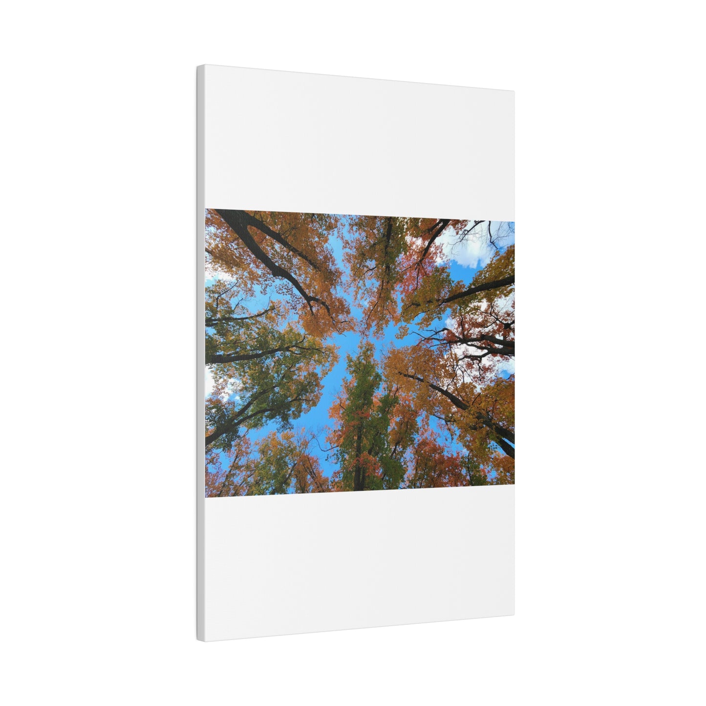 Matte Canvas, Stretched, 0.75"