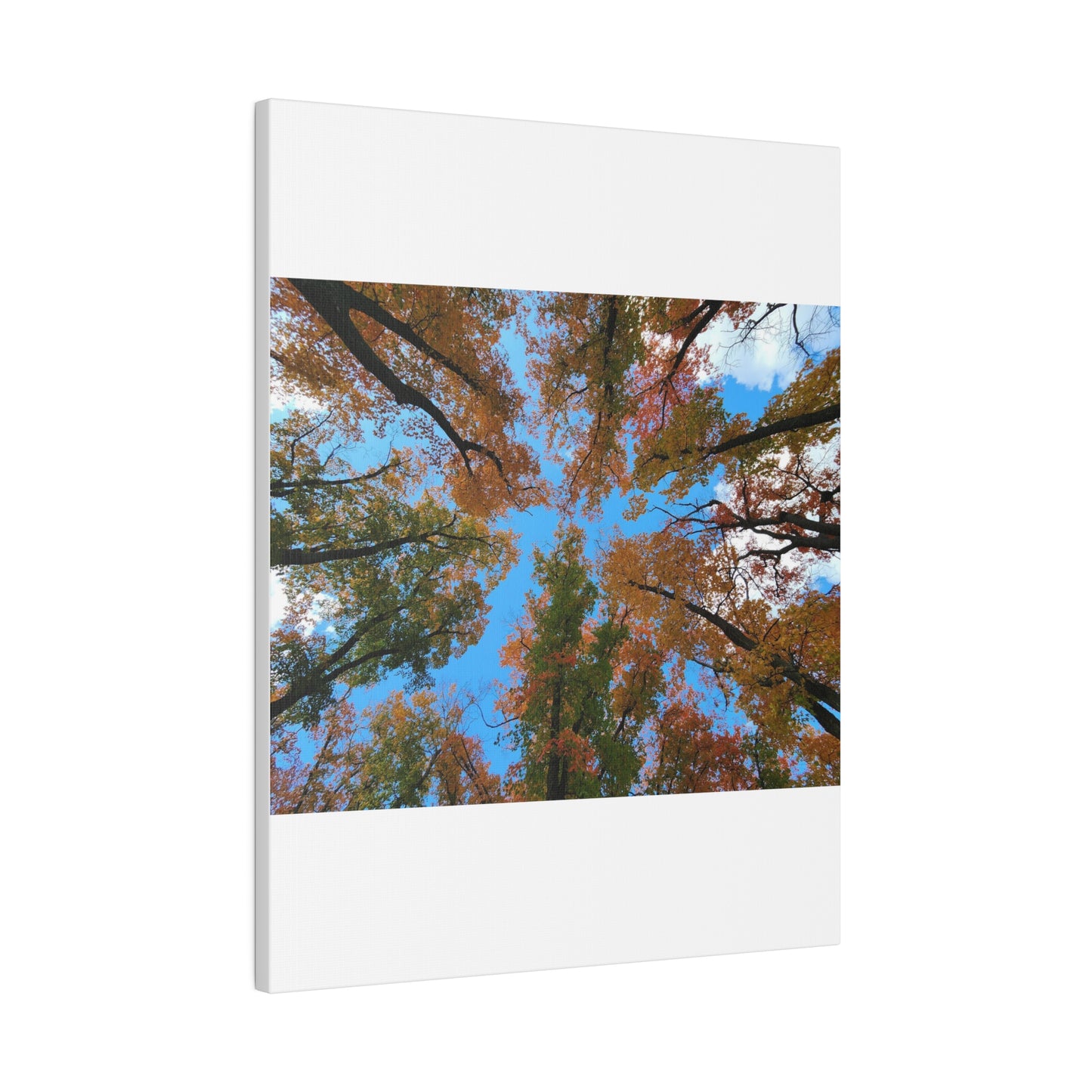 Matte Canvas, Stretched, 0.75"