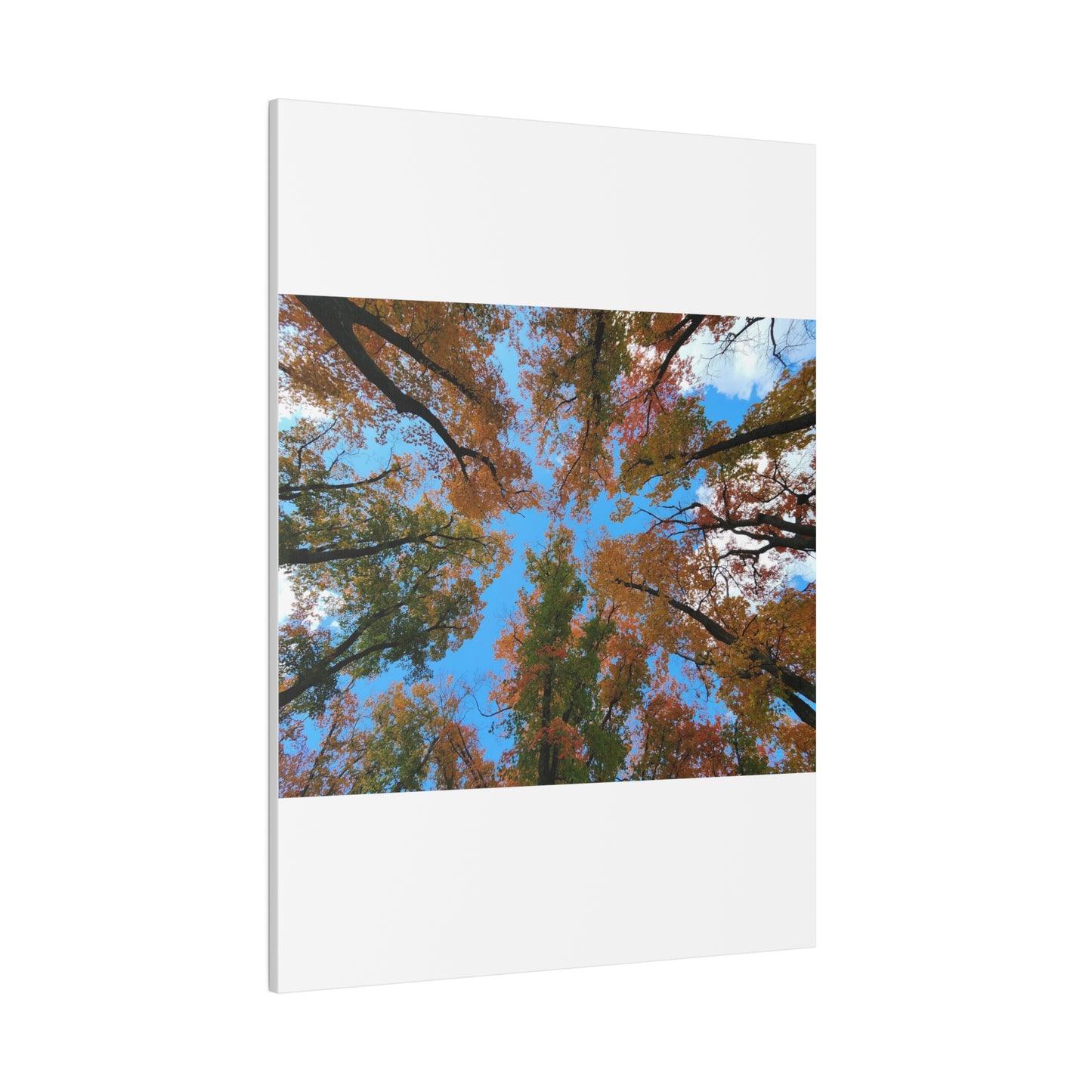 Matte Canvas, Stretched, 0.75"