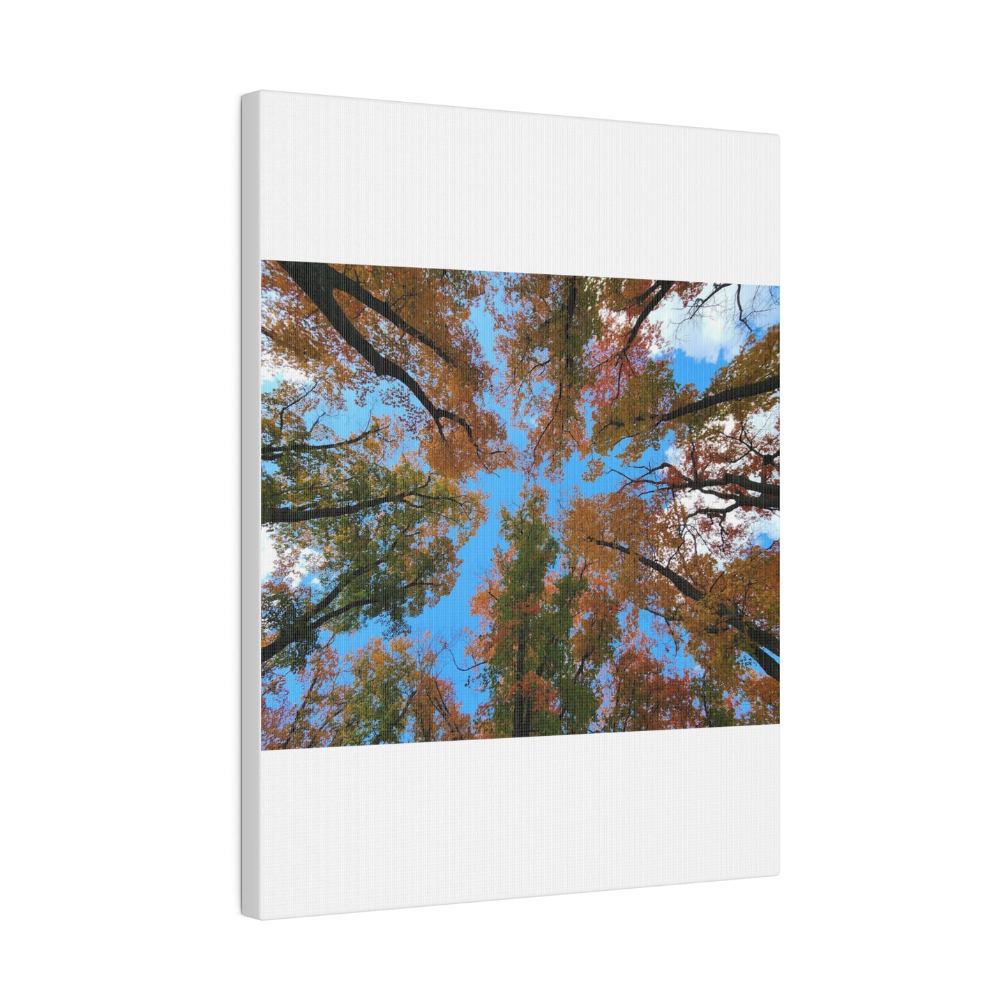 Matte Canvas, Stretched, 0.75"