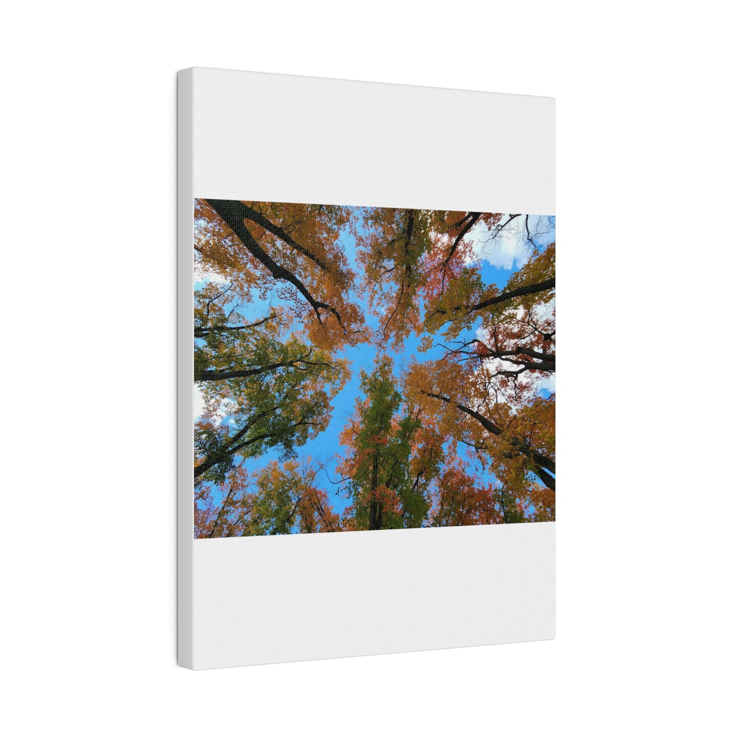 Matte Canvas, Stretched, 0.75"