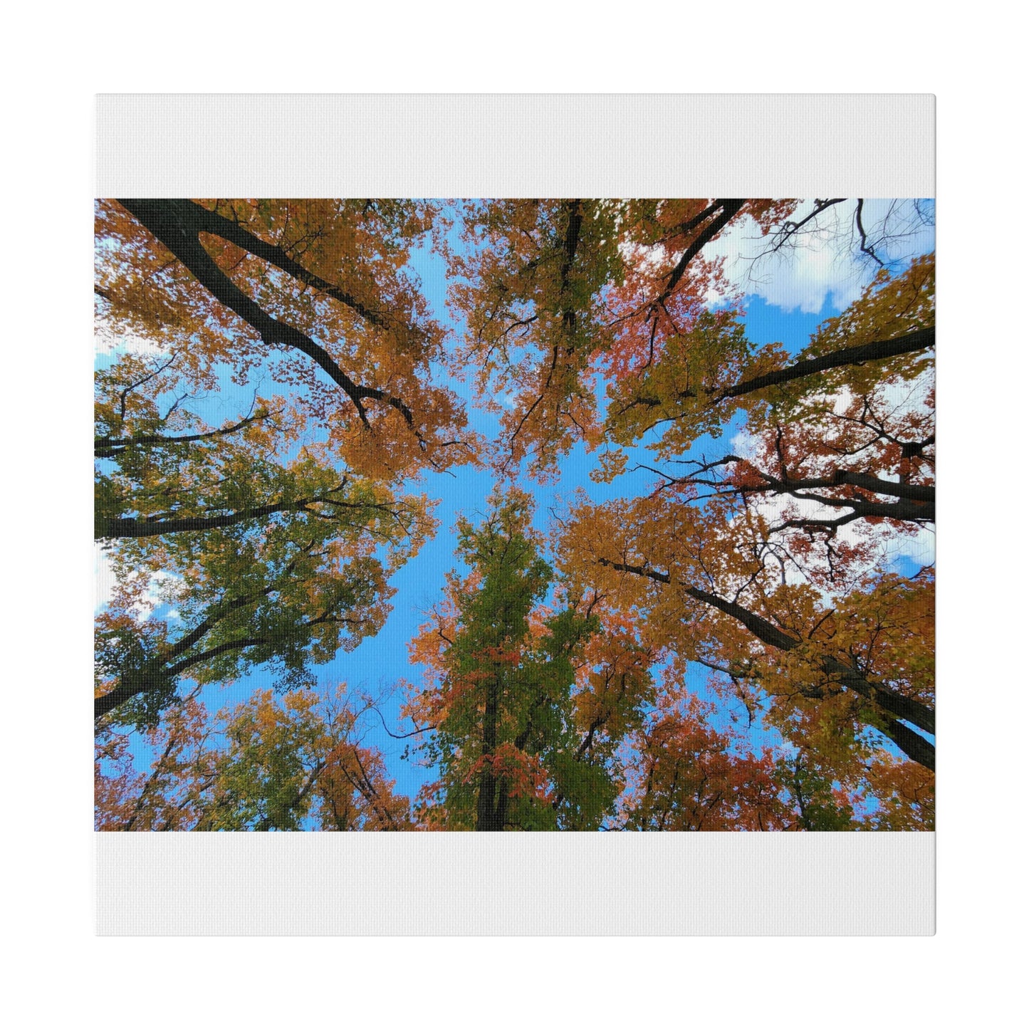 Matte Canvas, Stretched, 0.75"