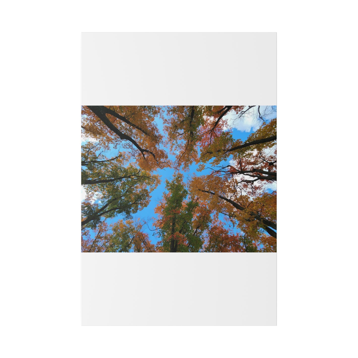 Matte Canvas, Stretched, 0.75"