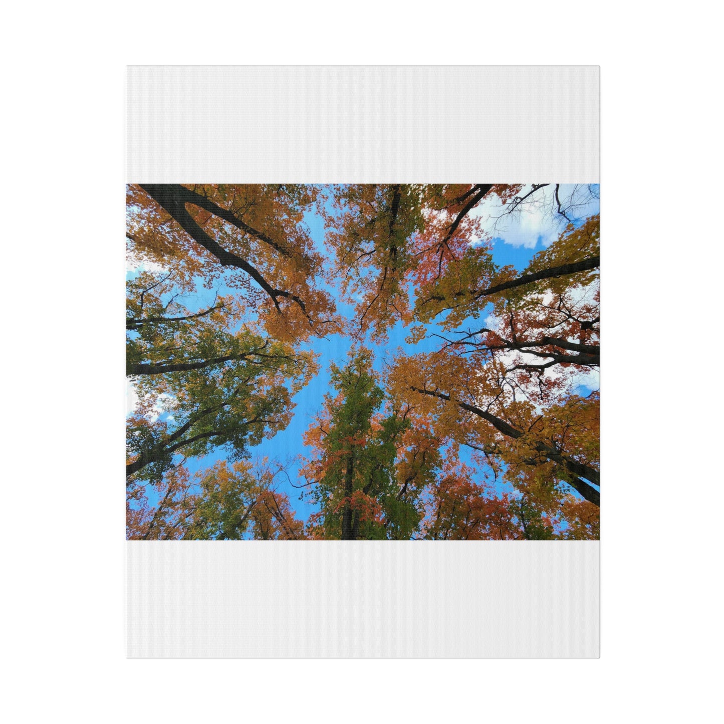 Matte Canvas, Stretched, 0.75"
