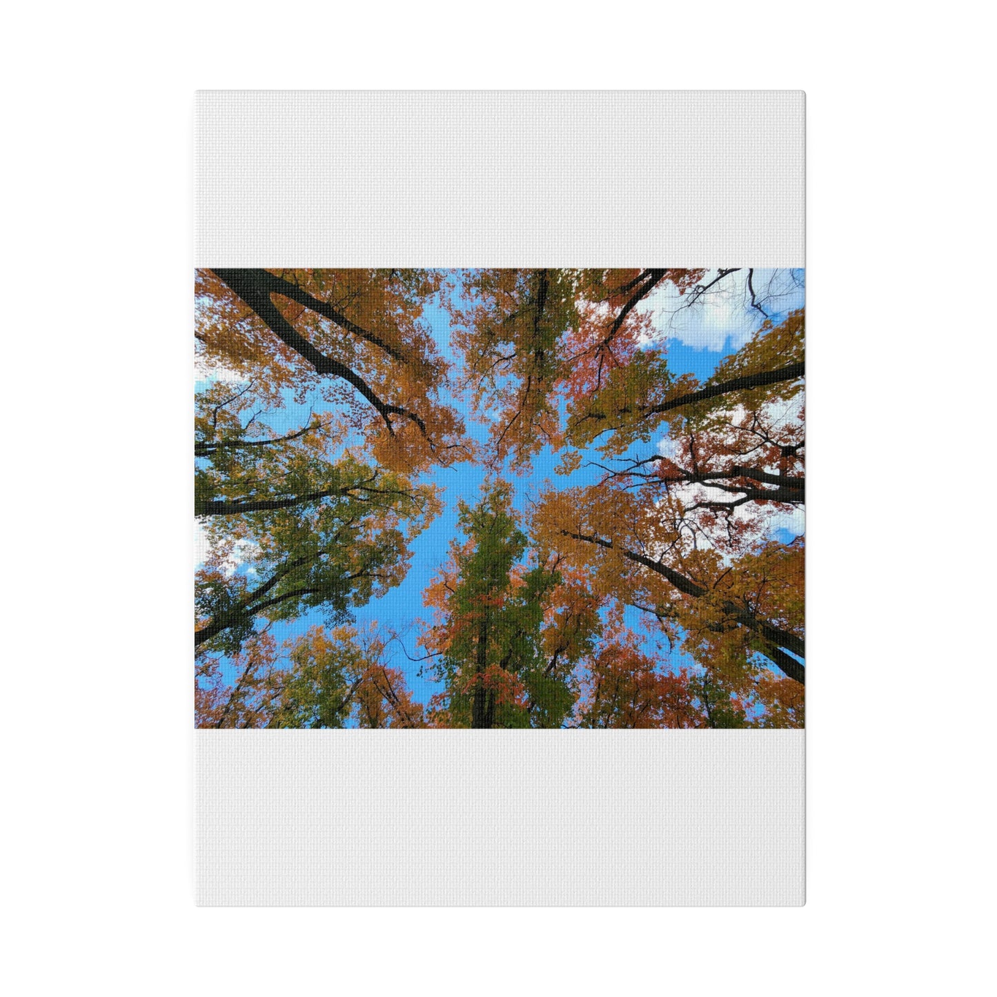 Matte Canvas, Stretched, 0.75"