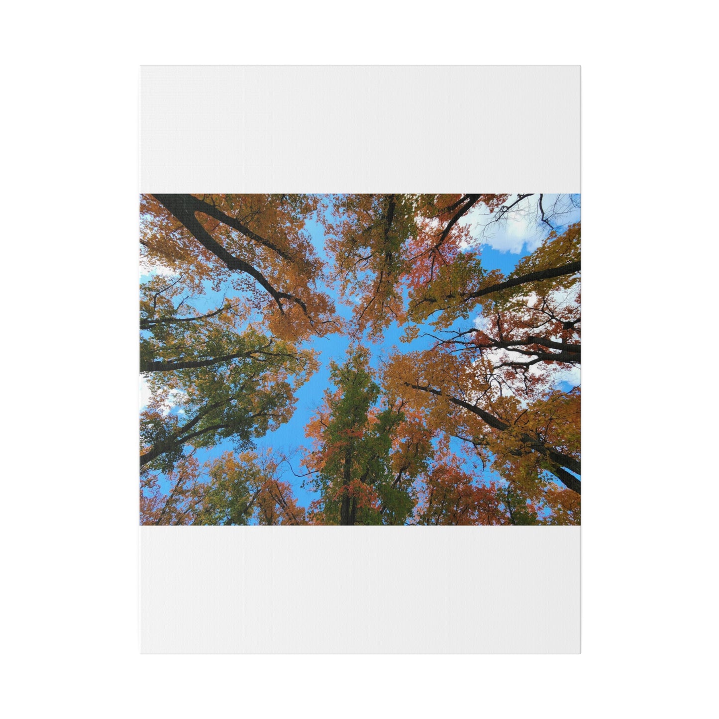 Matte Canvas, Stretched, 0.75"
