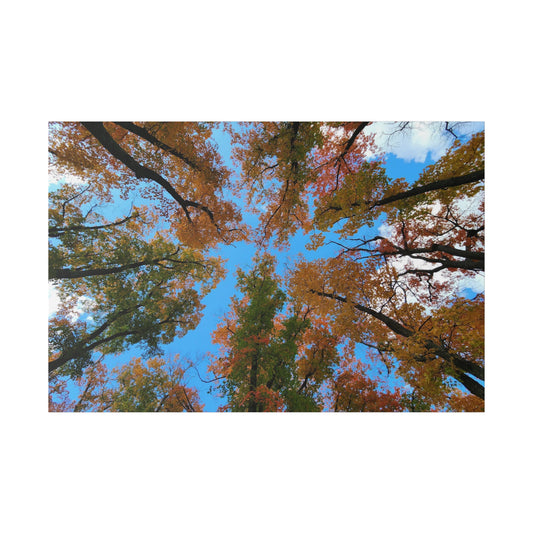 Matte Canvas, Stretched, 0.75"