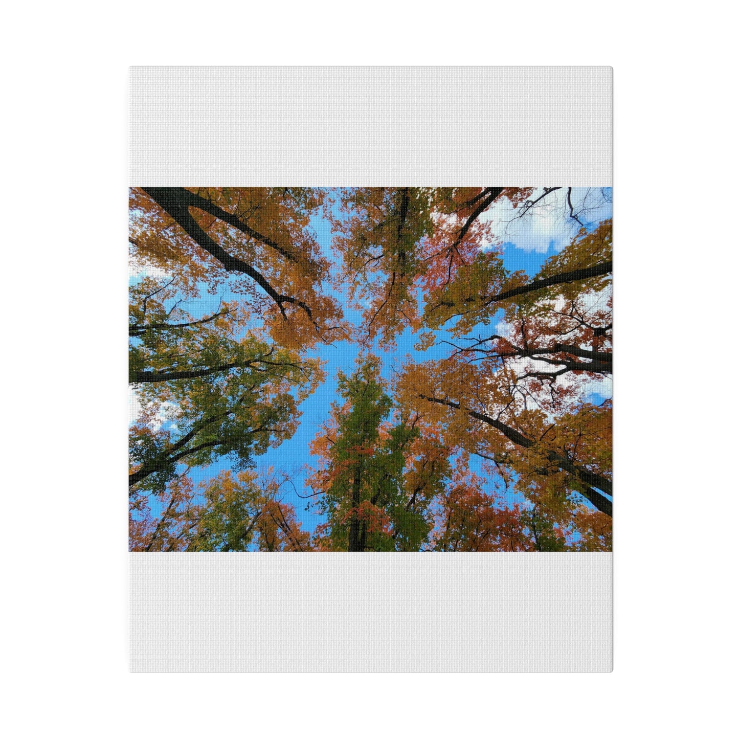 Matte Canvas, Stretched, 0.75"